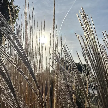 Apartmán Neu Apartmenthaus-usedom Famstopp 